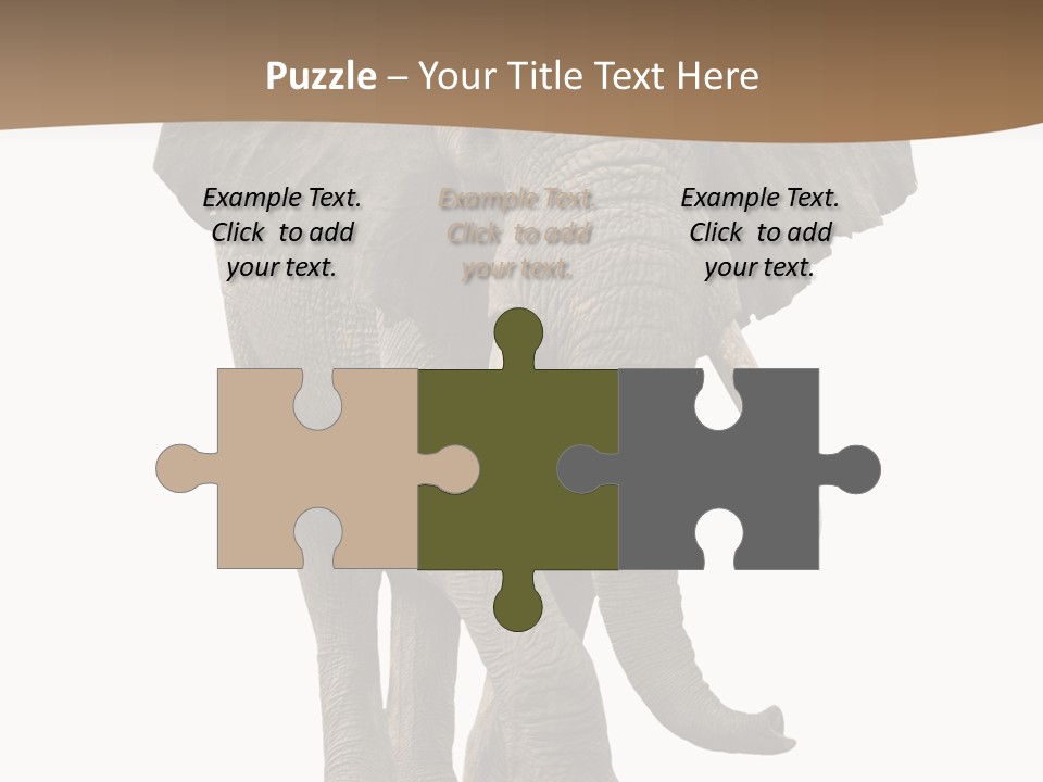 Front View One Africa PowerPoint Template