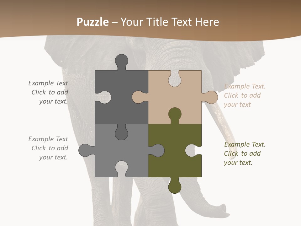 Front View One Africa PowerPoint Template