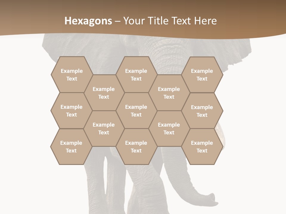 Front View One Africa PowerPoint Template