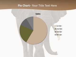 Front View One Africa PowerPoint Template