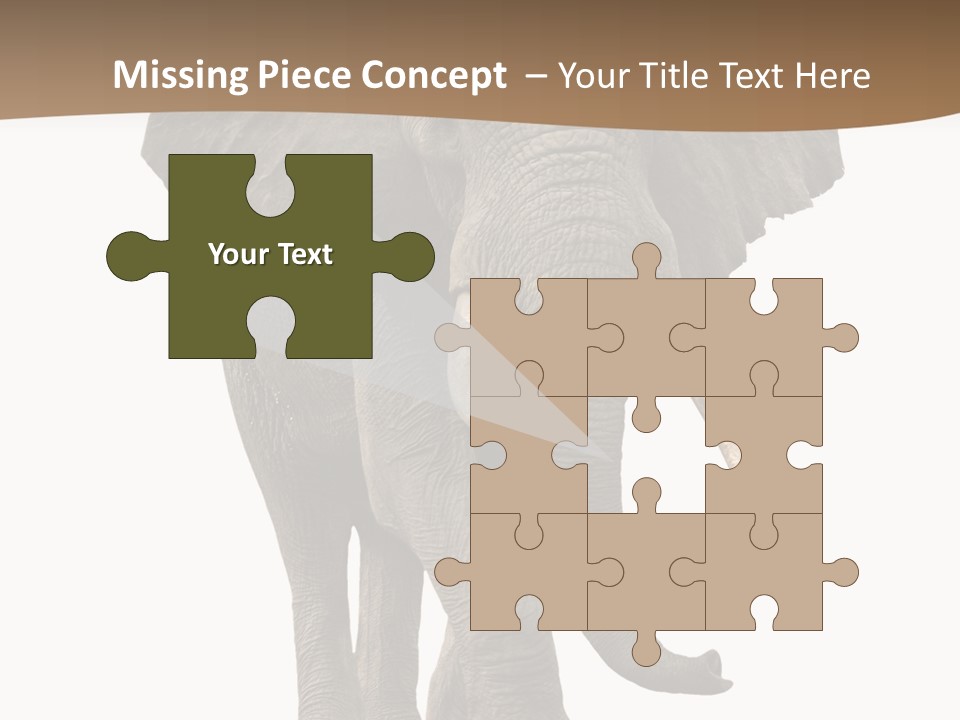 Front View One Africa PowerPoint Template