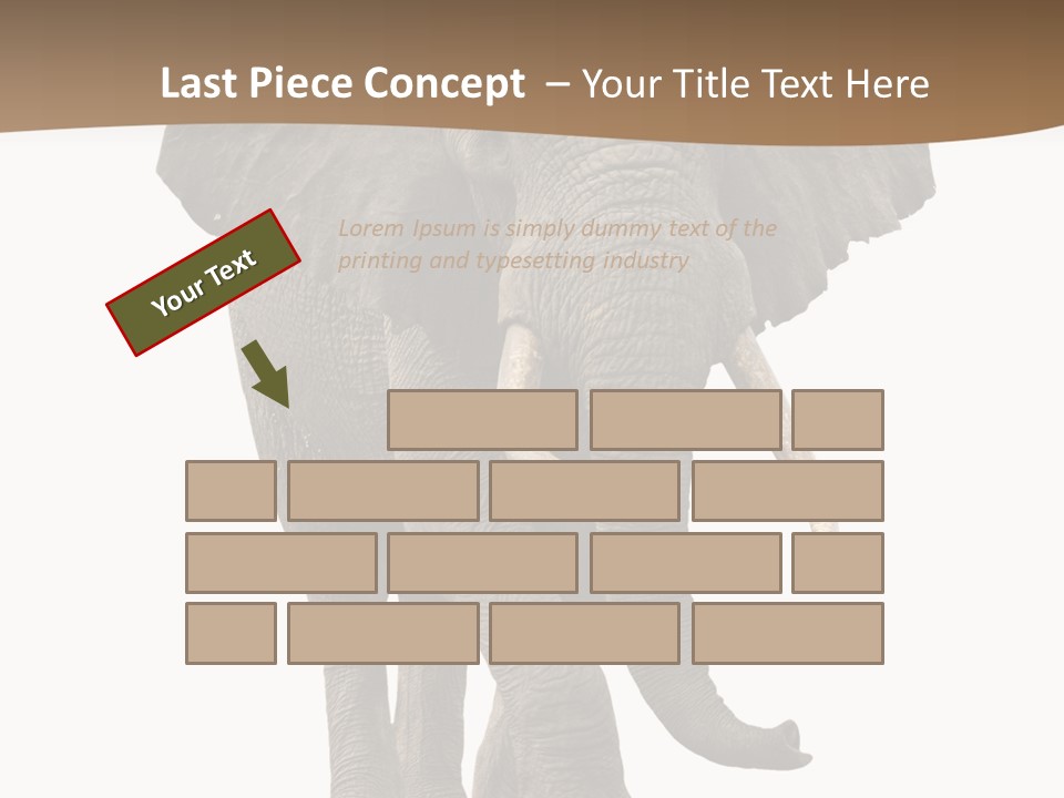 Front View One Africa PowerPoint Template