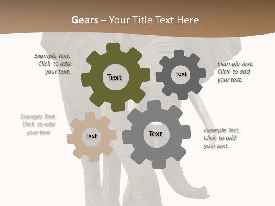 Front View One Africa PowerPoint Template