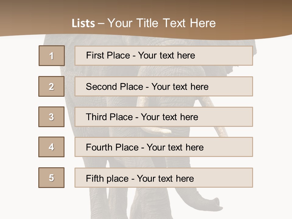Front View One Africa PowerPoint Template