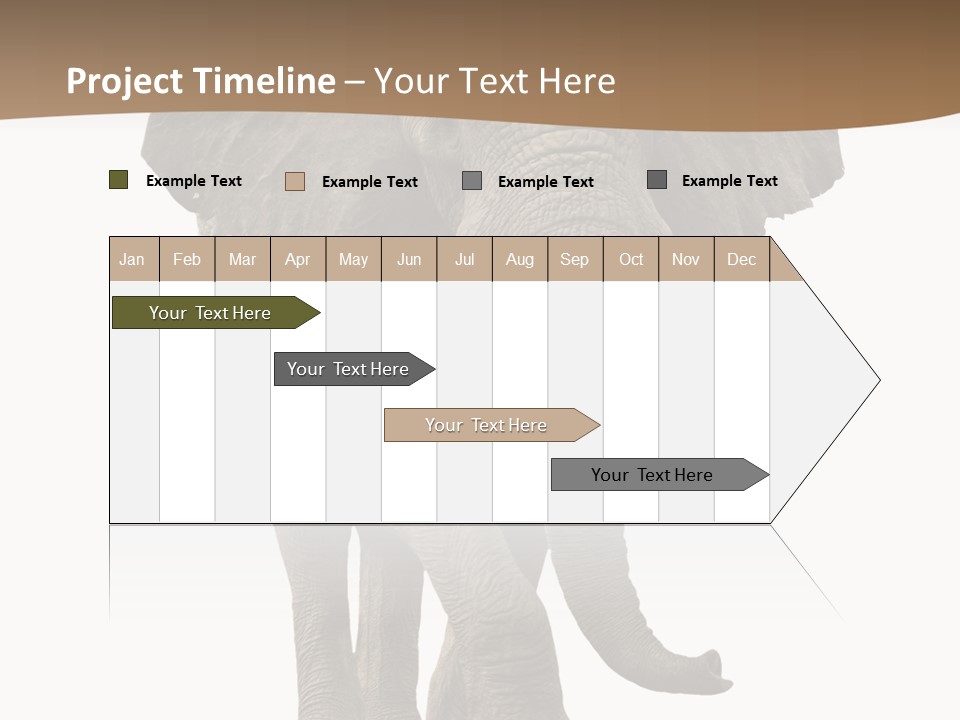 Front View One Africa PowerPoint Template