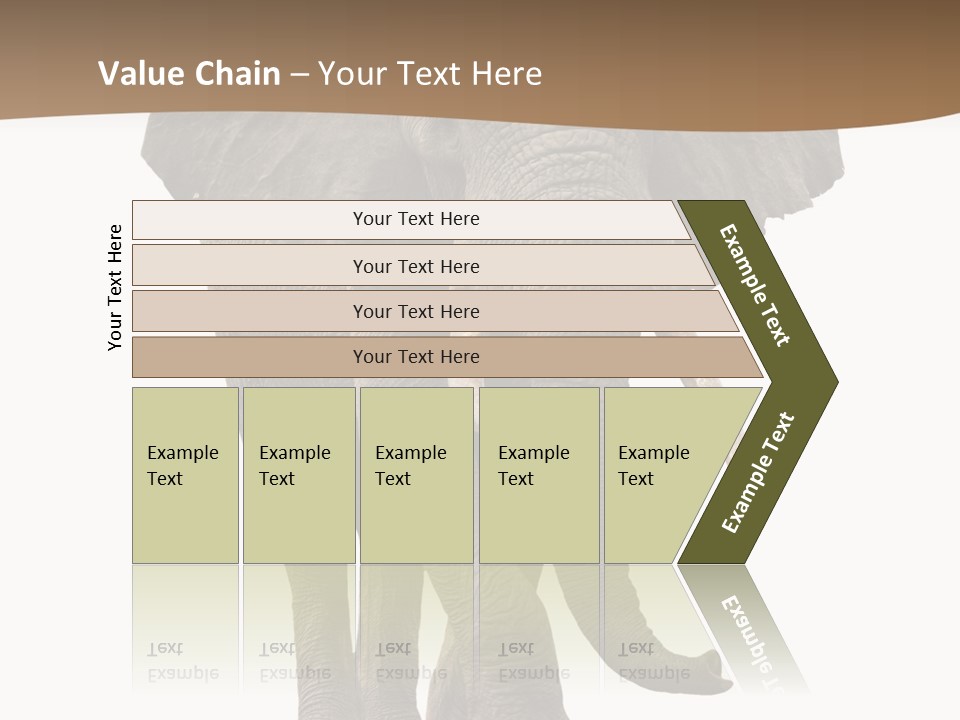 Front View One Africa PowerPoint Template