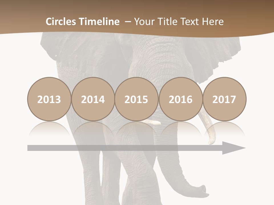 Front View One Africa PowerPoint Template