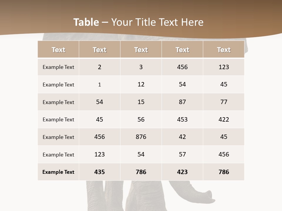 Front View One Africa PowerPoint Template