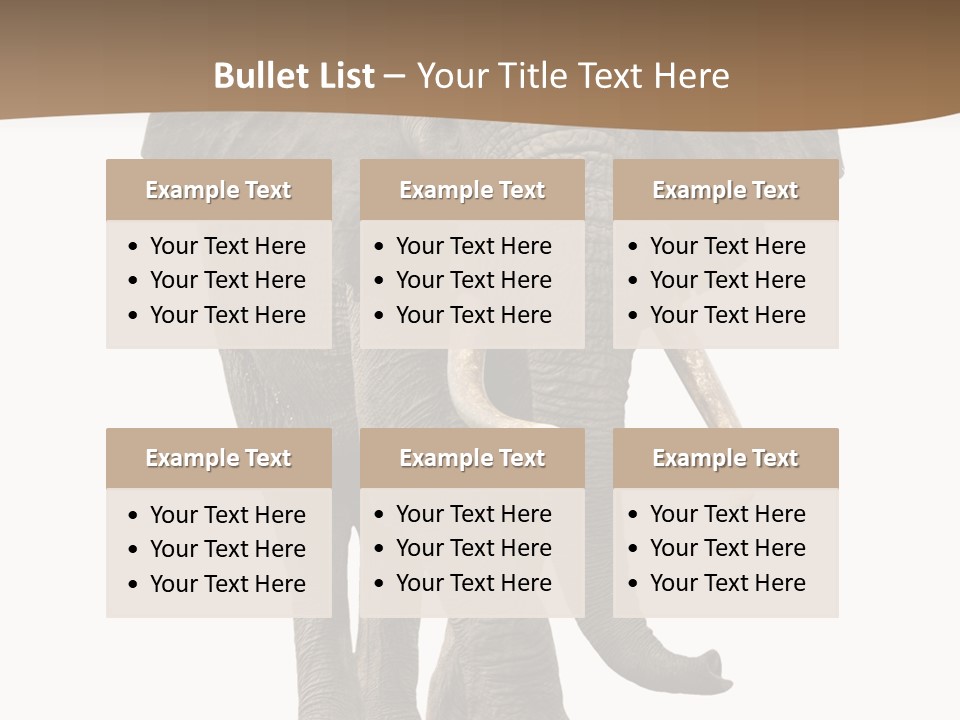 Front View One Africa PowerPoint Template