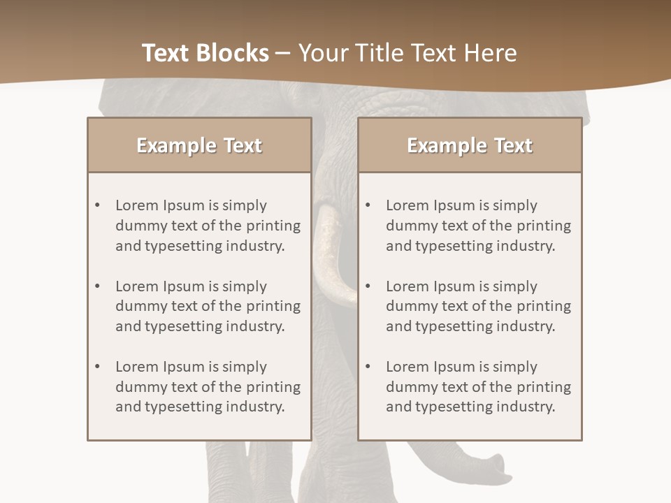 Front View One Africa PowerPoint Template
