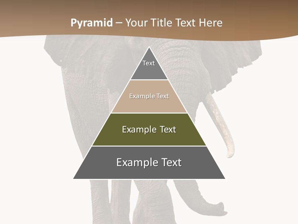 Front View One Africa PowerPoint Template