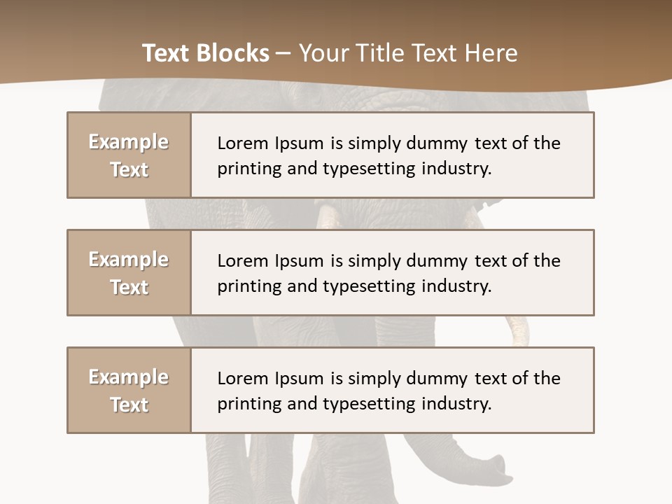 Front View One Africa PowerPoint Template