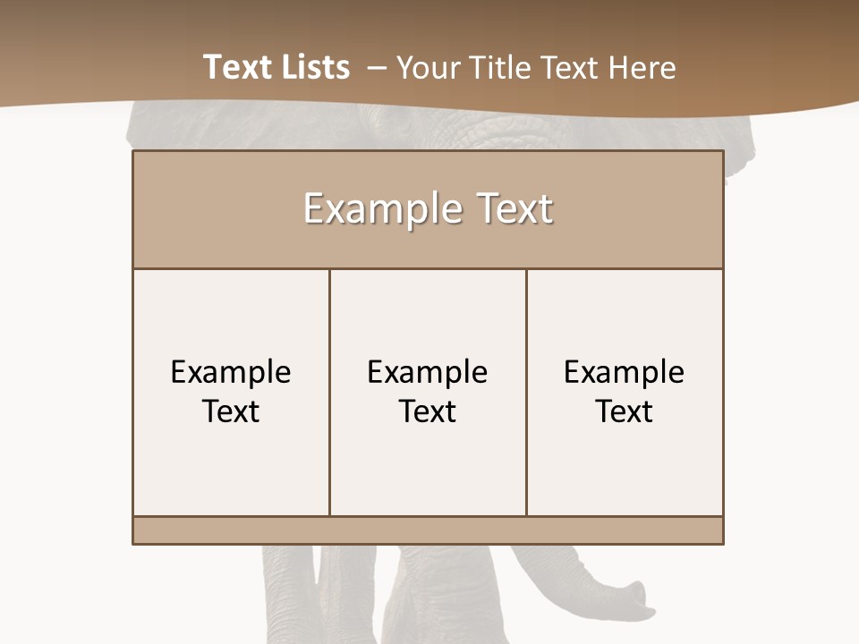 Front View One Africa PowerPoint Template