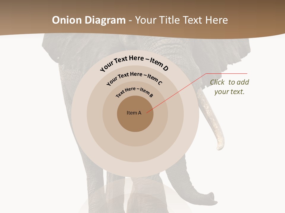 Front View One Africa PowerPoint Template