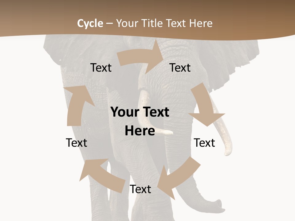 Front View One Africa PowerPoint Template