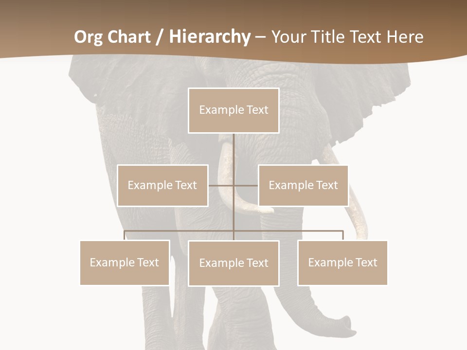 Front View One Africa PowerPoint Template