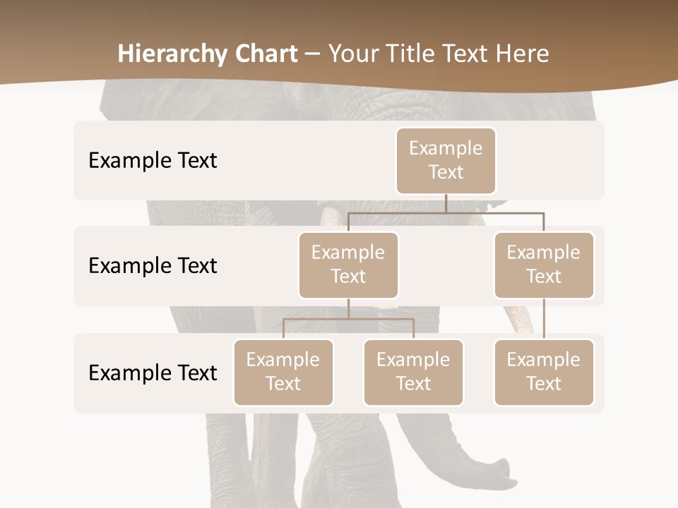 Front View One Africa PowerPoint Template