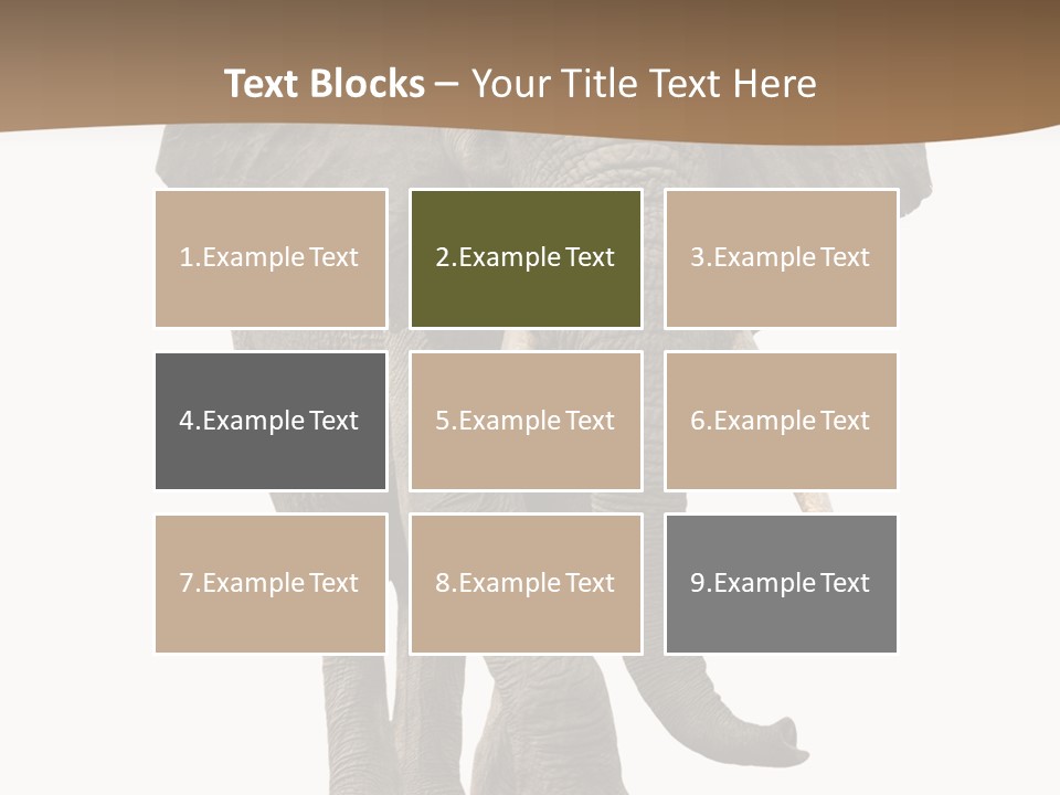 Front View One Africa PowerPoint Template