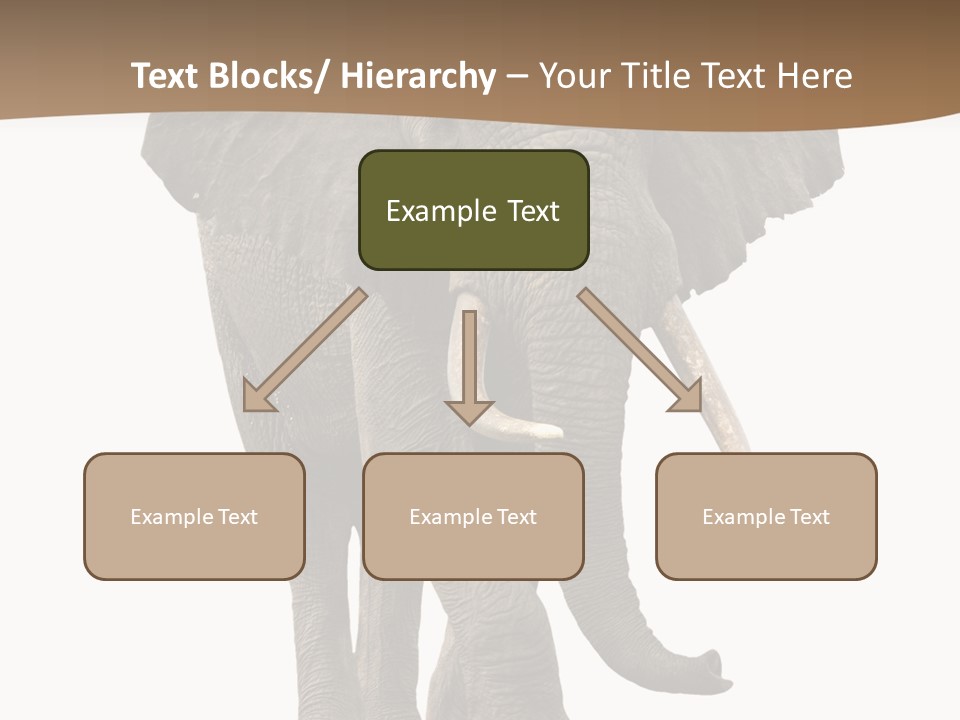 Front View One Africa PowerPoint Template