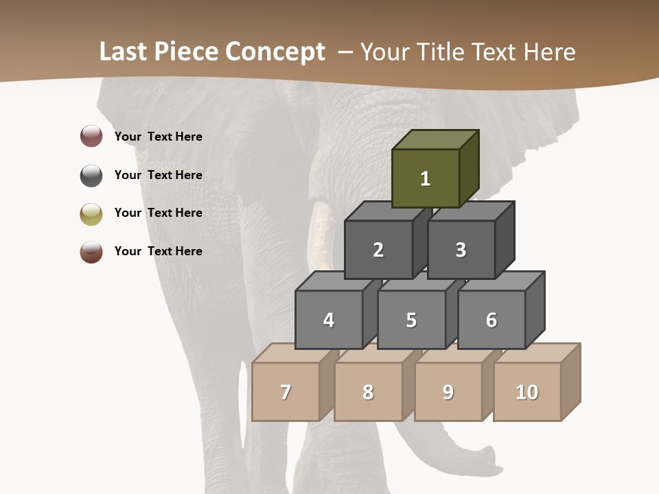 Front View One Africa PowerPoint Template
