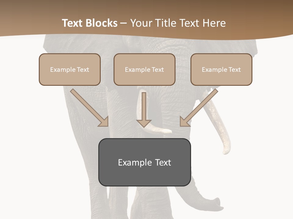 Front View One Africa PowerPoint Template