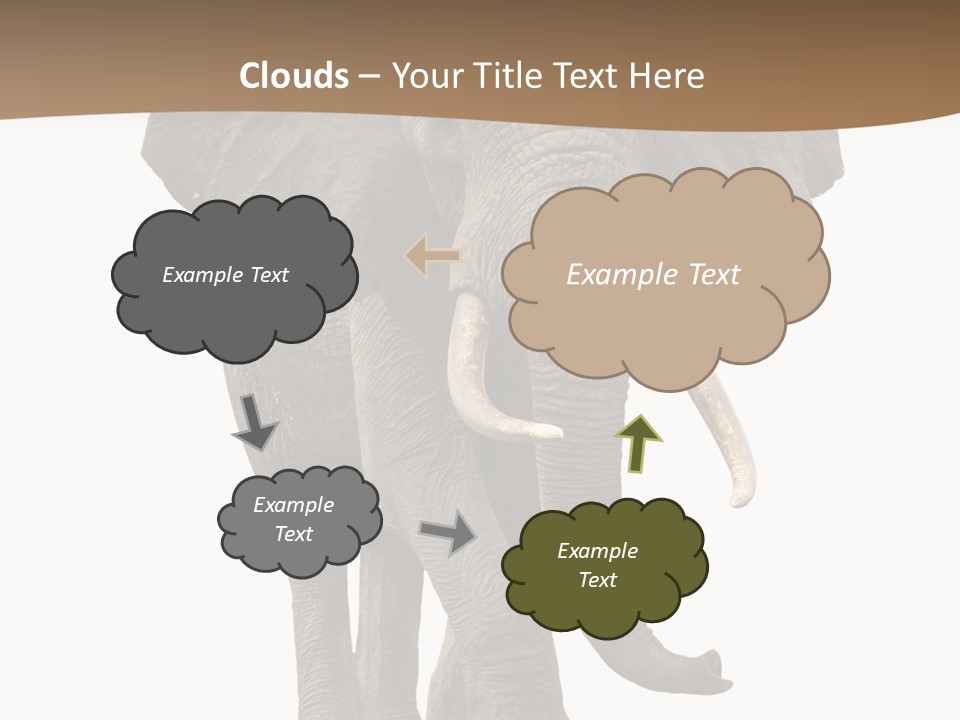 Front View One Africa PowerPoint Template