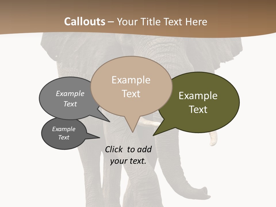 Front View One Africa PowerPoint Template