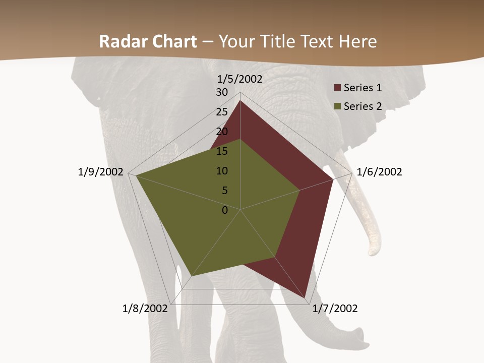 Front View One Africa PowerPoint Template