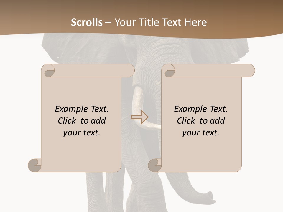 Front View One Africa PowerPoint Template