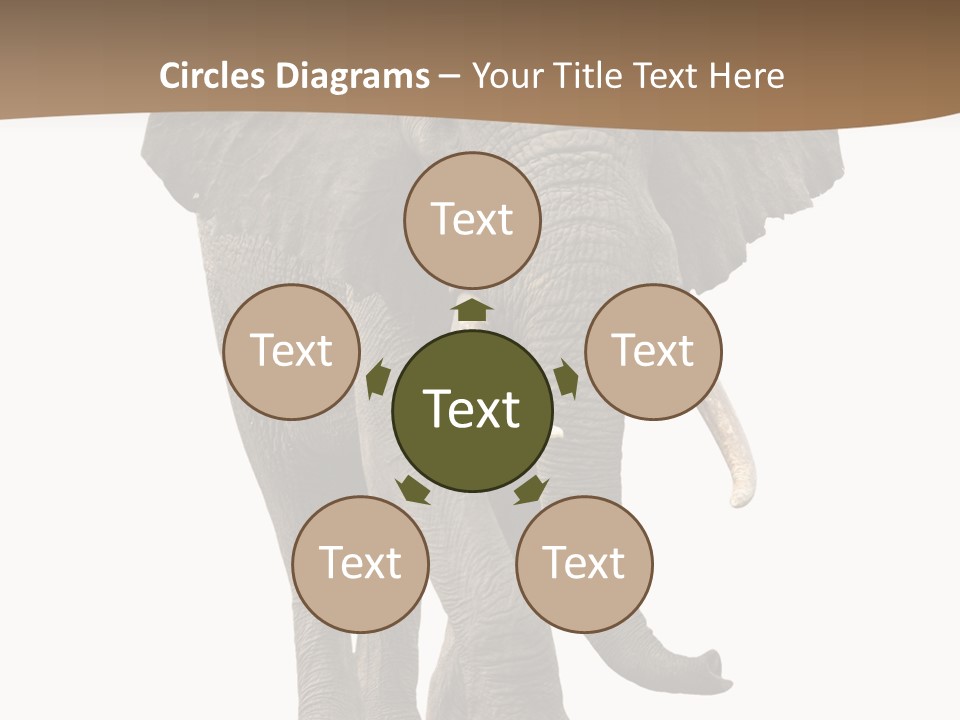 Front View One Africa PowerPoint Template