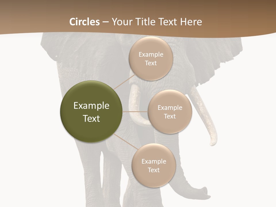 Front View One Africa PowerPoint Template