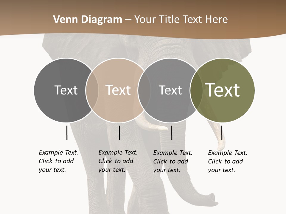 Front View One Africa PowerPoint Template
