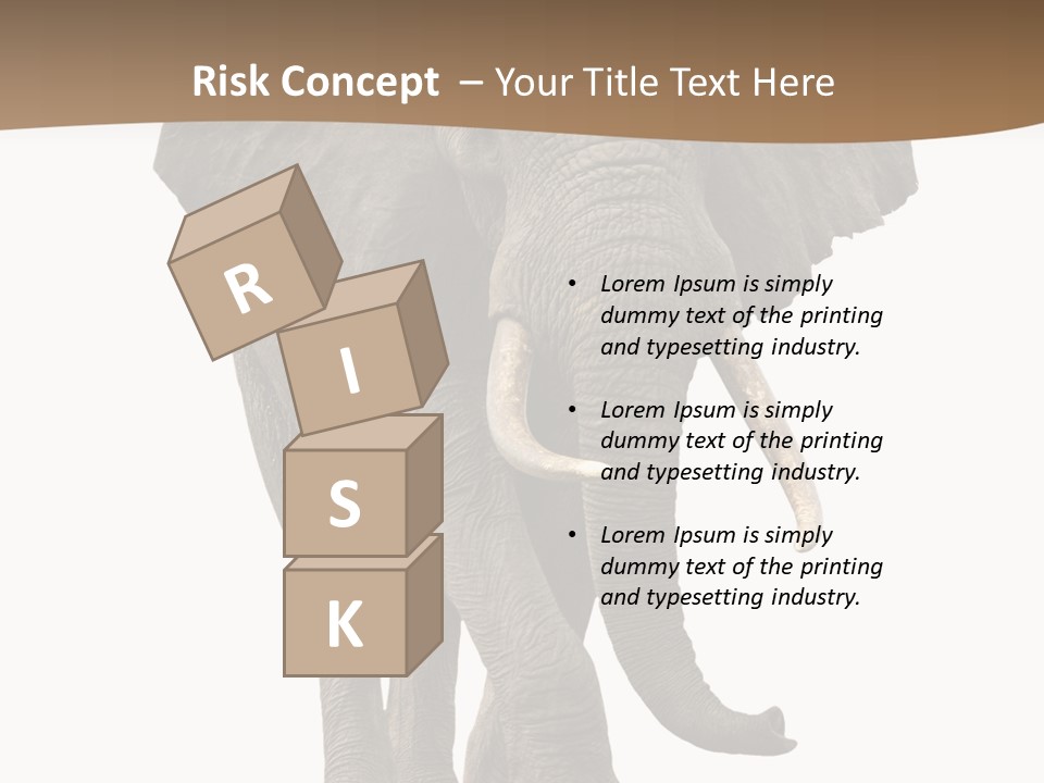 Front View One Africa PowerPoint Template