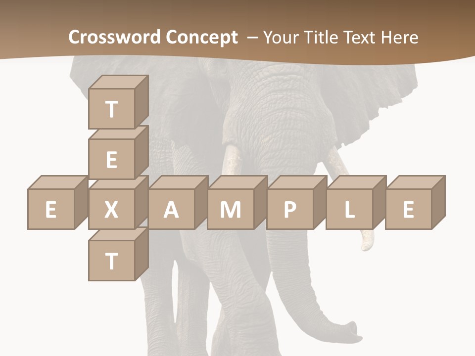 Front View One Africa PowerPoint Template