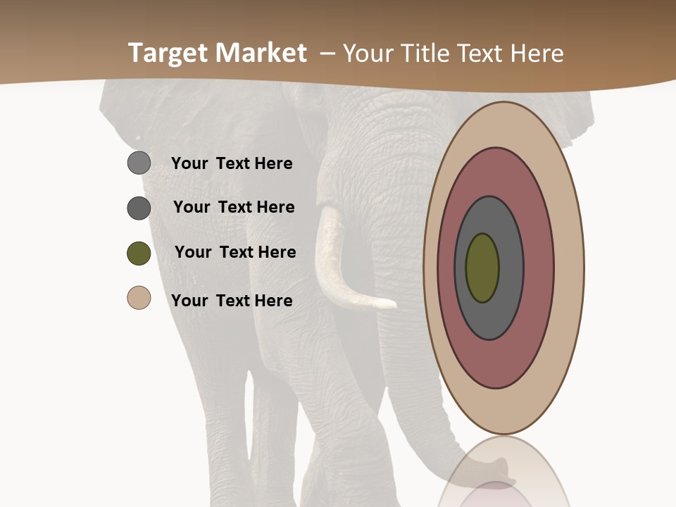 Front View One Africa PowerPoint Template