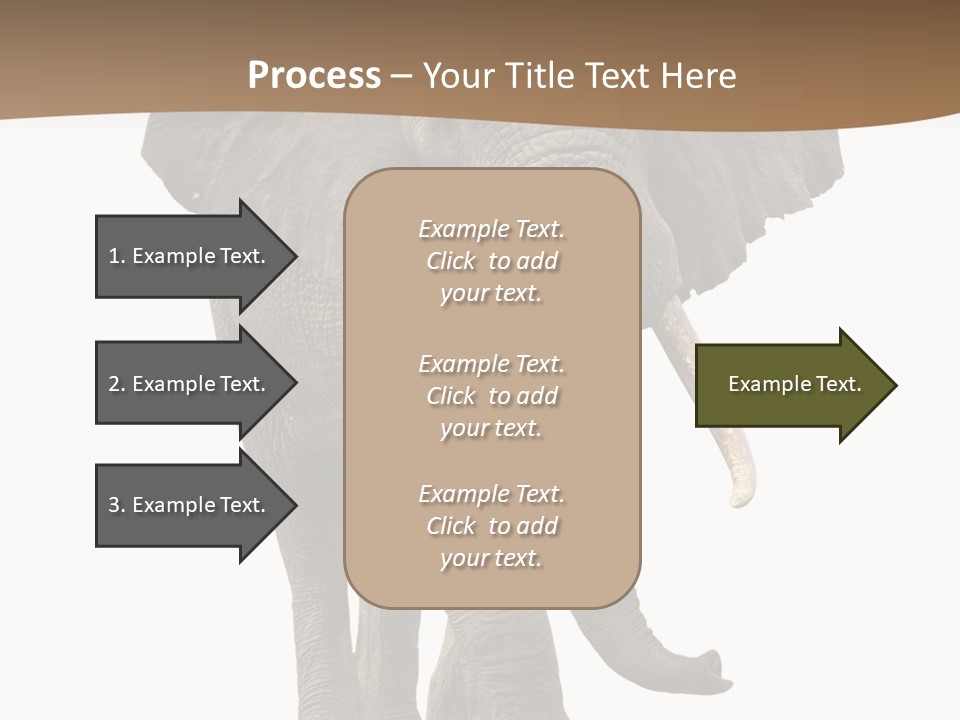 Front View One Africa PowerPoint Template