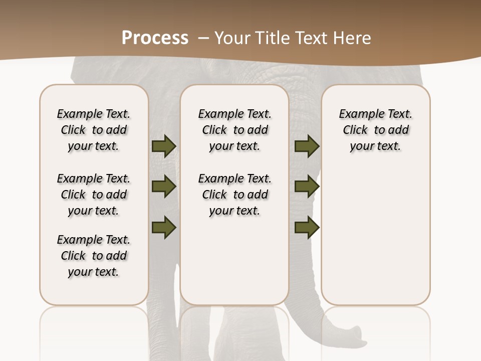Front View One Africa PowerPoint Template