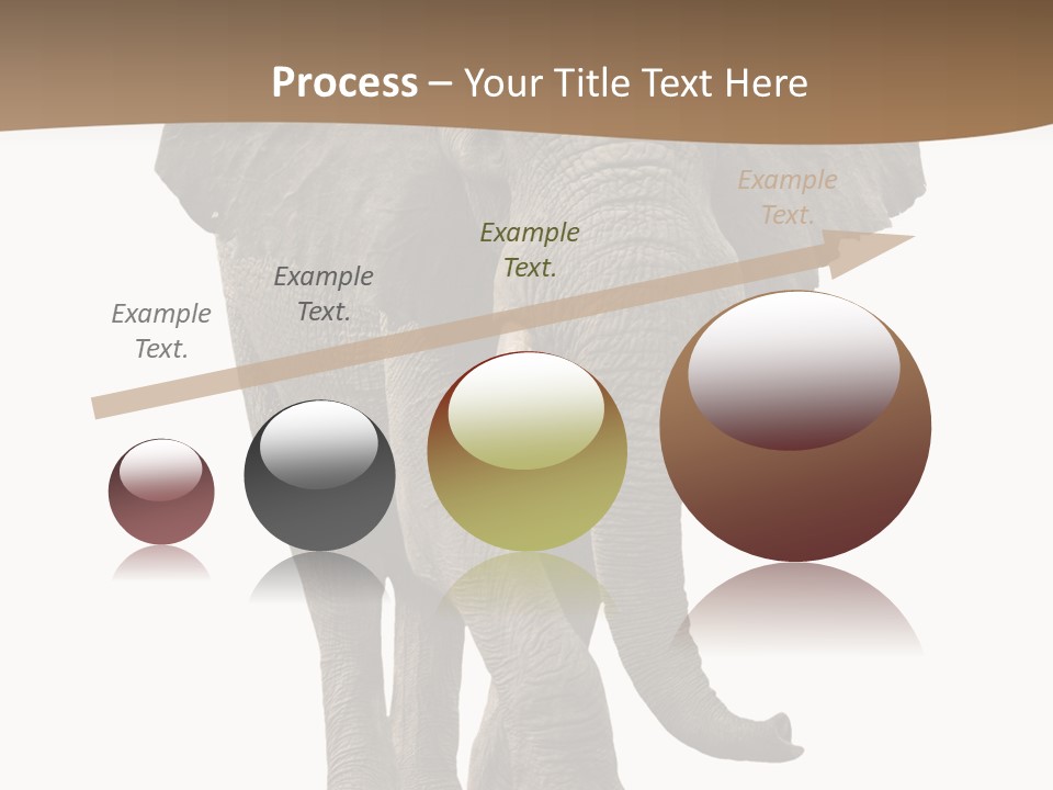 Front View One Africa PowerPoint Template