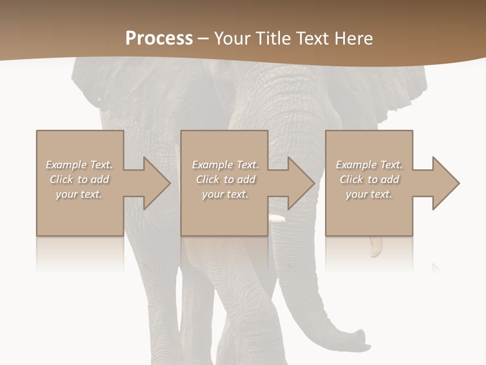 Front View One Africa PowerPoint Template