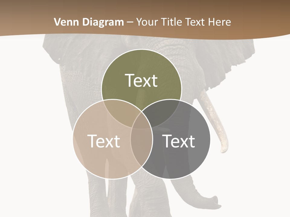 Front View One Africa PowerPoint Template