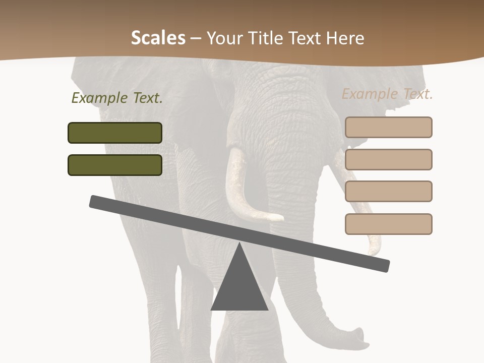 Front View One Africa PowerPoint Template