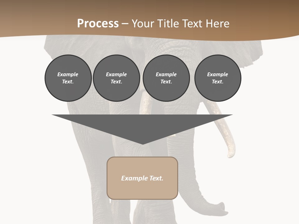 Front View One Africa PowerPoint Template