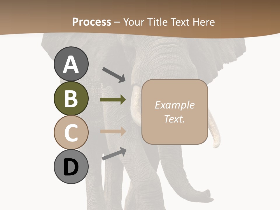 Front View One Africa PowerPoint Template