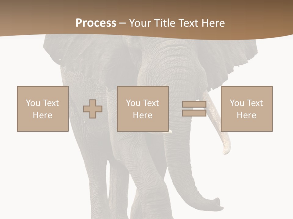 Front View One Africa PowerPoint Template