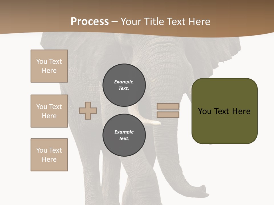 Front View One Africa PowerPoint Template