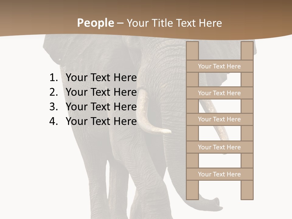 Front View One Africa PowerPoint Template