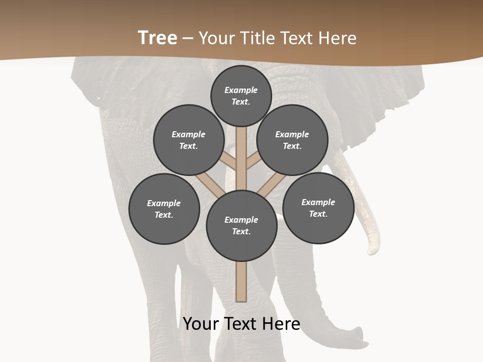 Front View One Africa PowerPoint Template