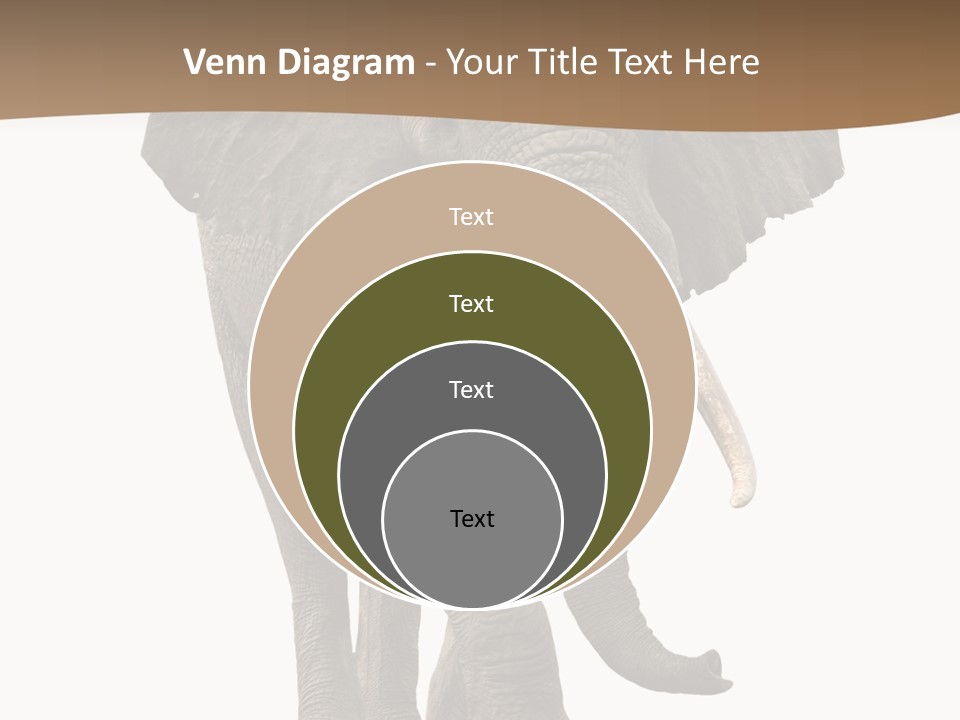 Front View One Africa PowerPoint Template