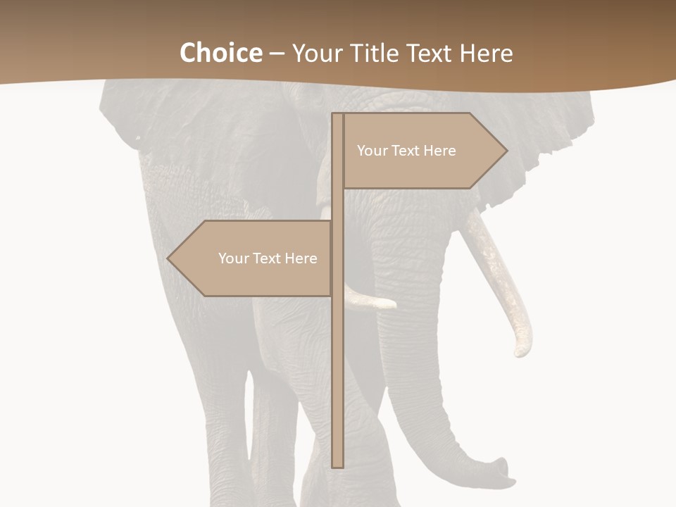 Front View One Africa PowerPoint Template