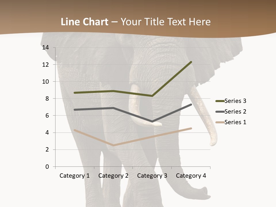 Front View One Africa PowerPoint Template